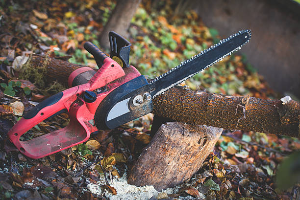 Best Lawn Watering Services  in Federal Y, WA